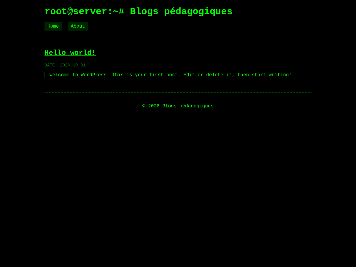Hacker Terminal